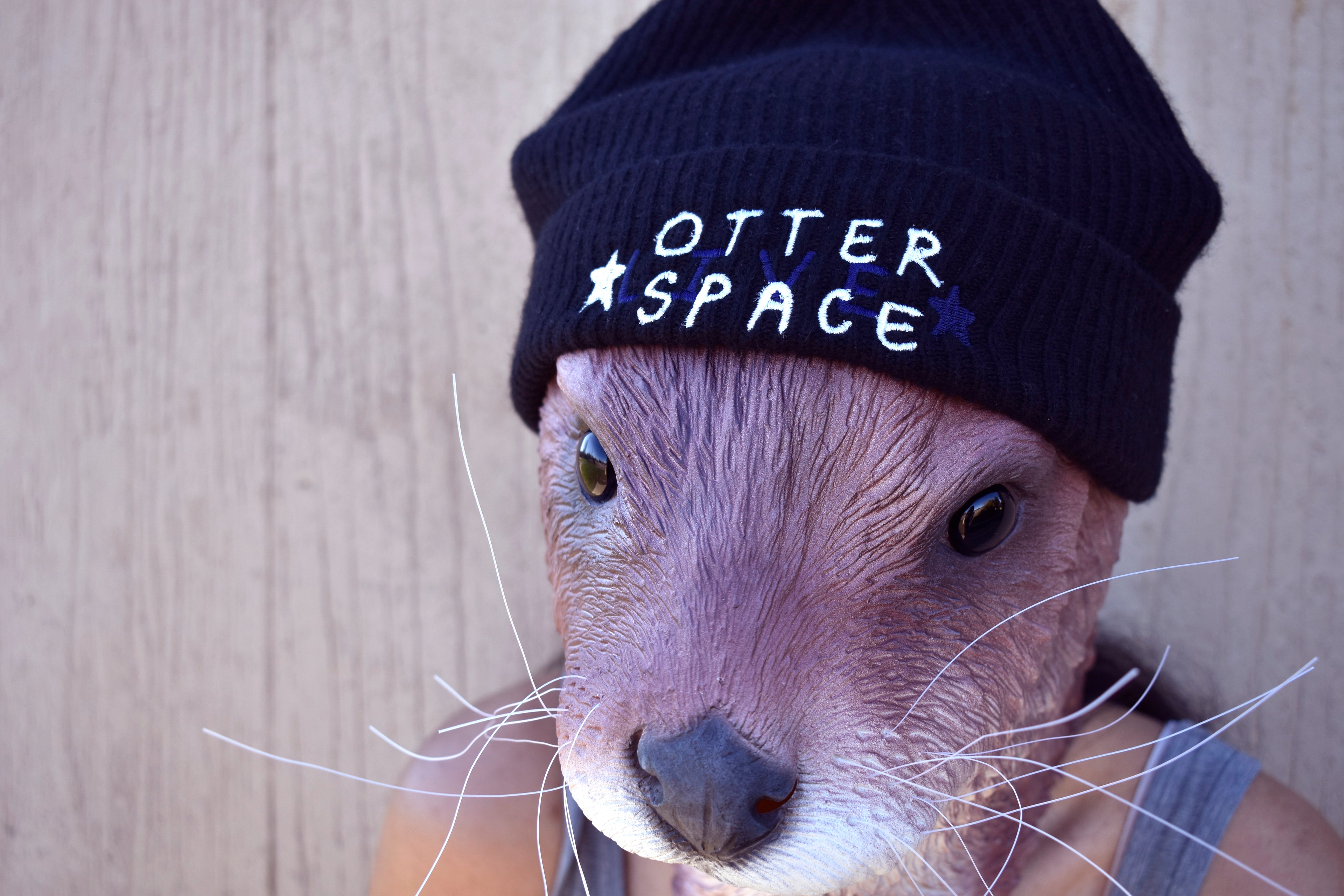 Remember to Live | Hidden Message Merino Wool Beanie