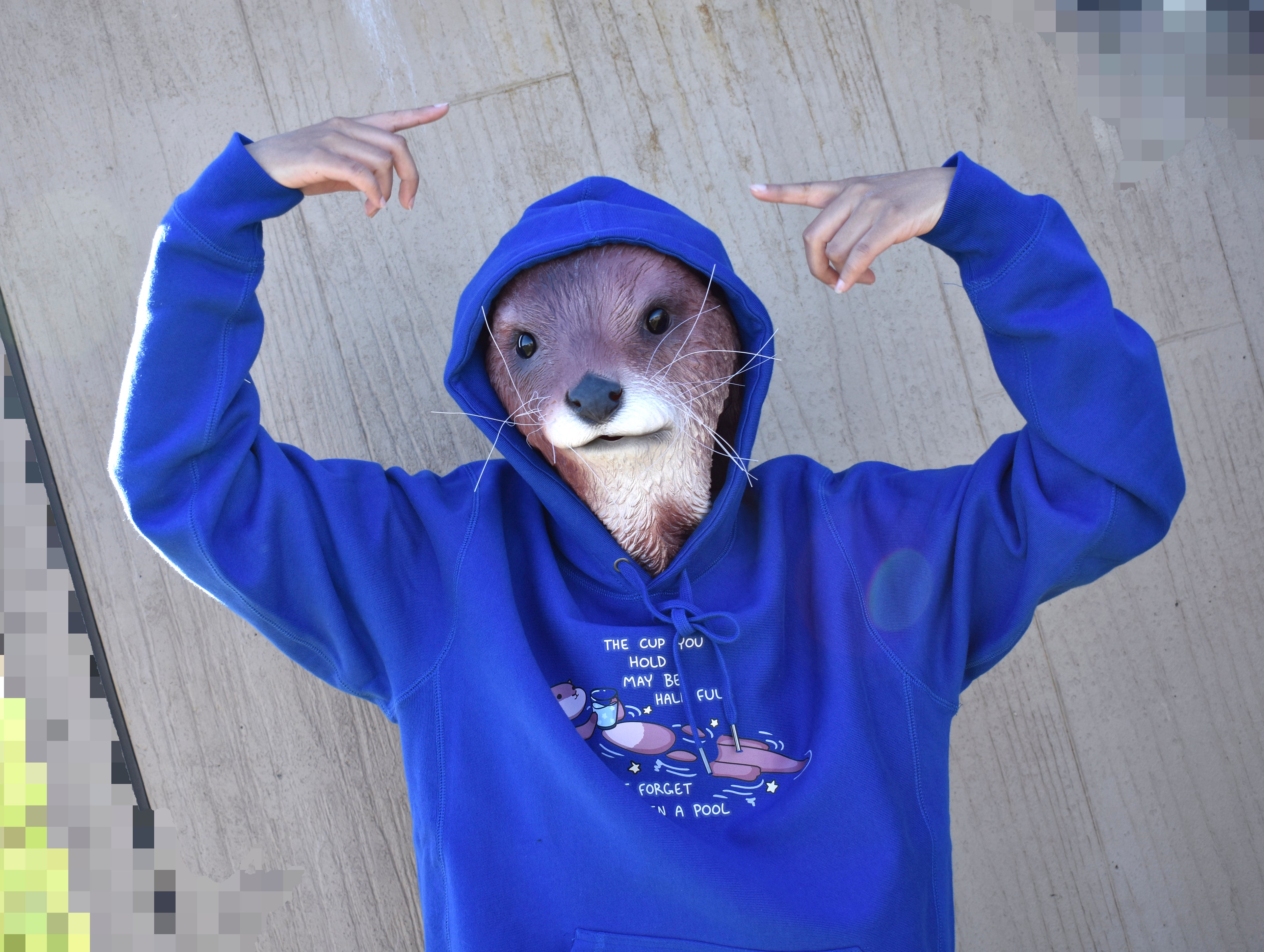 Your Cup is a Pool - OtterSpace Hoodie