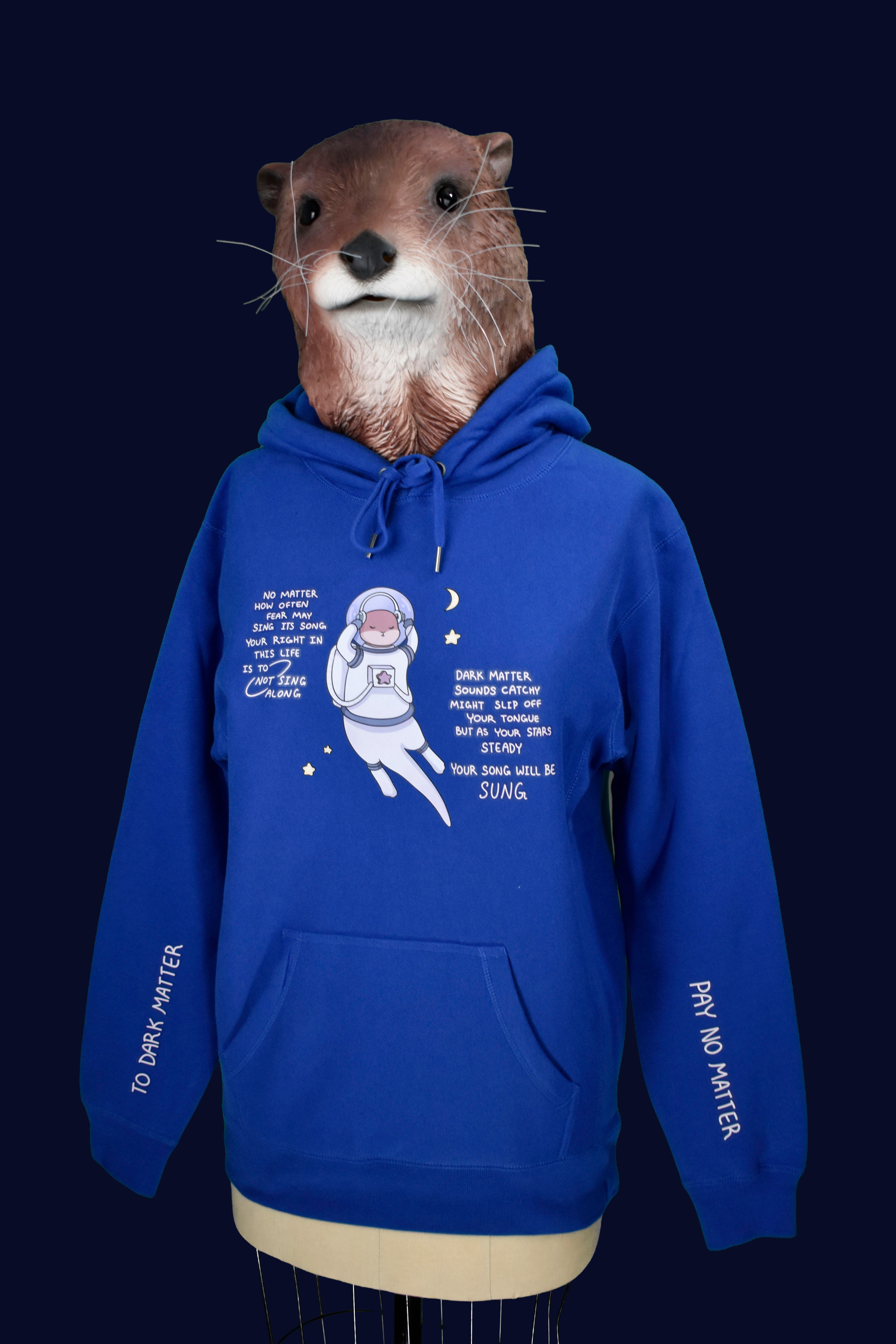 Steady Your Stars - OtterSpace Hoodie